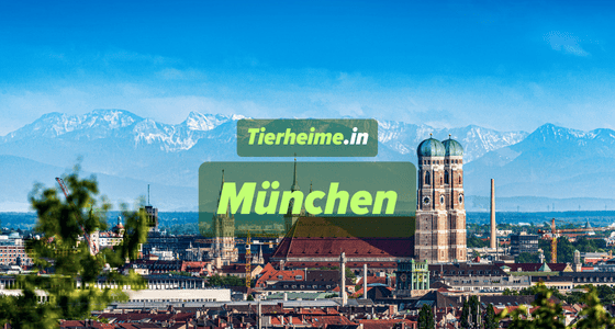 Tierheim München