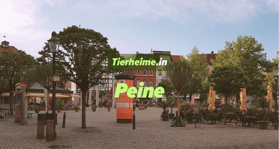 Tierheim Peine