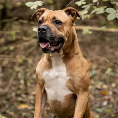 Wilma