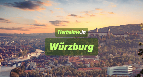 Tierheim Würzburg