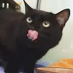 Cooper