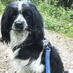 Hugo