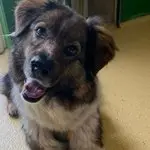 Sam