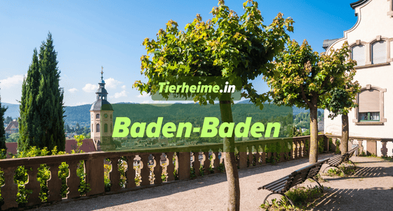 Tierheim Baden-Baden