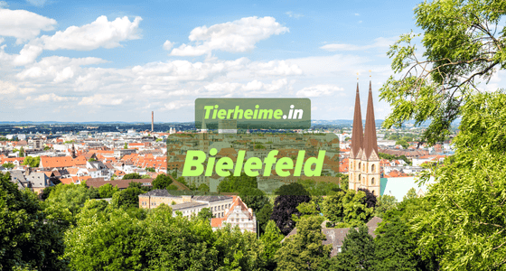 Tierheim Bielefeld