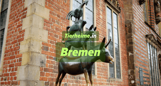Tierheim Bremen