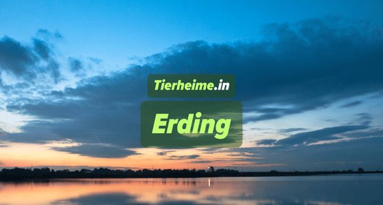Tierheim Erding