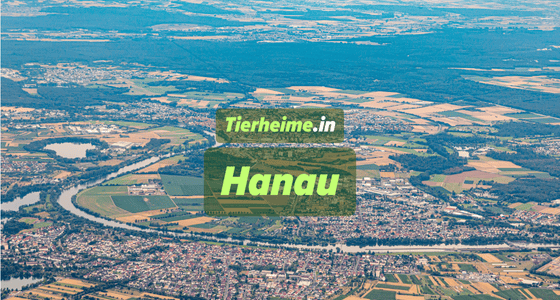 Tierheim Hanau