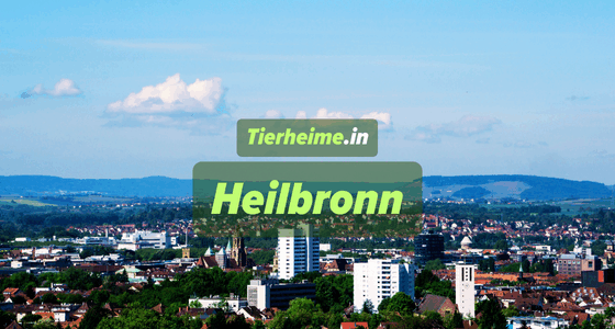 Tierheim Heilbronn