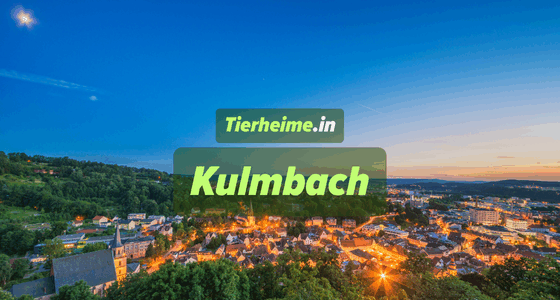 Tierheim Kulmbach
