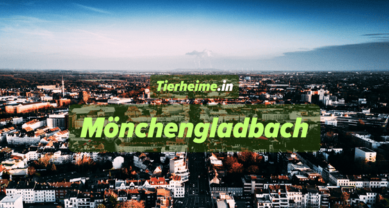 Tierheim Mönchengladbach