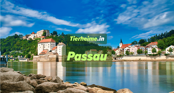 Tierheim Passau