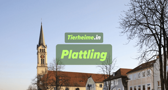 Tierheim Plattling