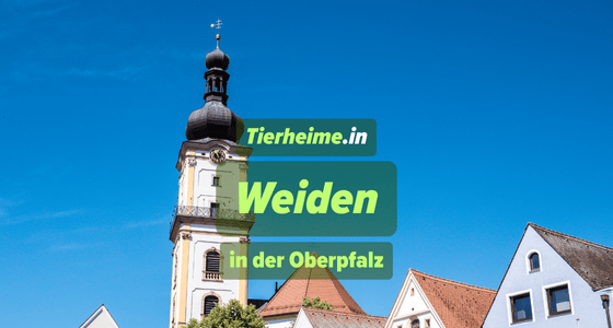 Tierheim Weiden in der Oberpfalz