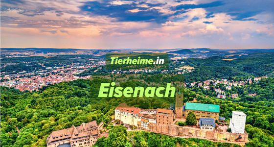 Tierheim Eisenach
