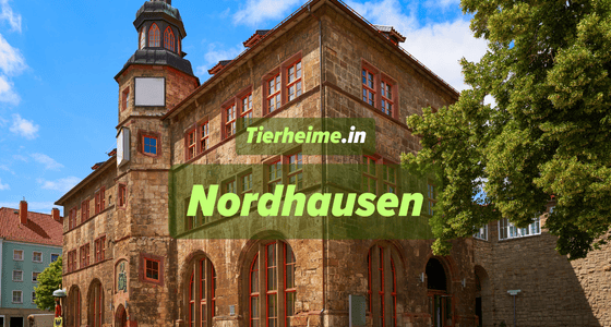 Tierheim Nordhausen