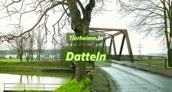Tierheim Datteln