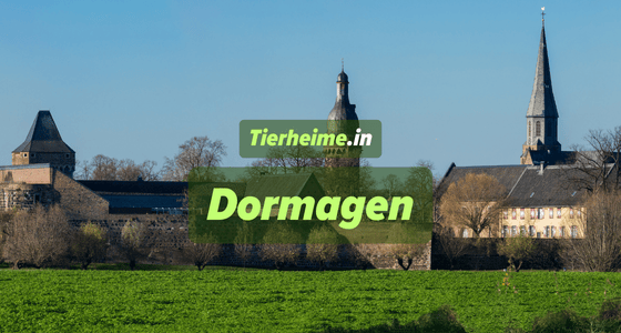 Tierheim Dormagen