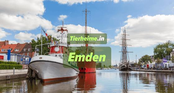 Tierheim Emden