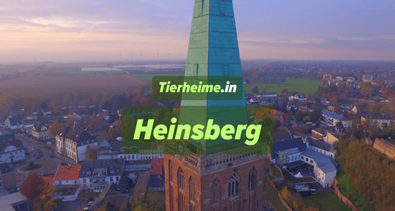 Tierheim Heinsberg