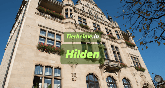 Tierheim Hilden
