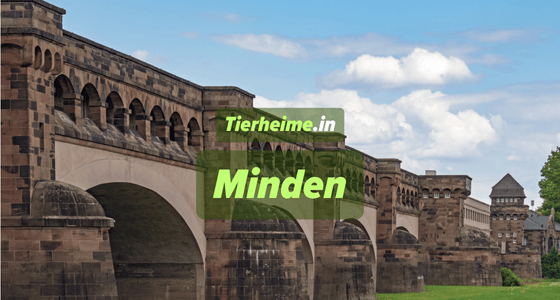 Tierheim Minden