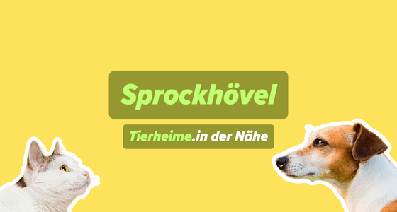 Tierheim in Sprockhövel oder Umgebung