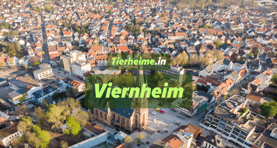Tierheim Viernheim