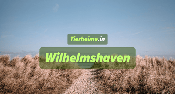 Tierheim Wilhelmshaven