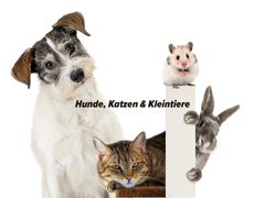 Hunde, Katzen, Kleintiere - Tiervermittlung
