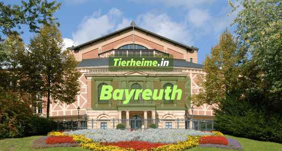 Tierheim Bayreuth