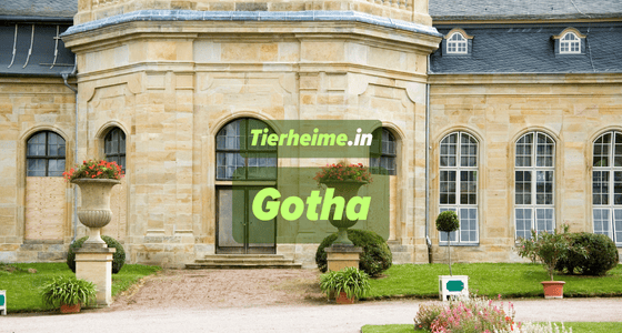 Tierheim Gotha