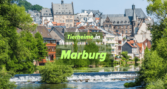 Tierheim Marburg