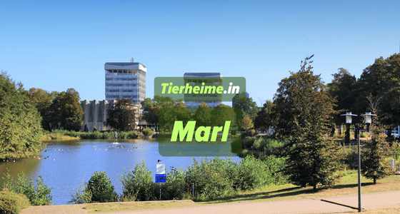 Tierheim Marl