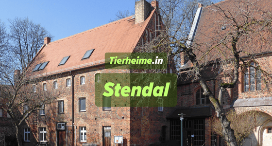 Tierheim Stendal