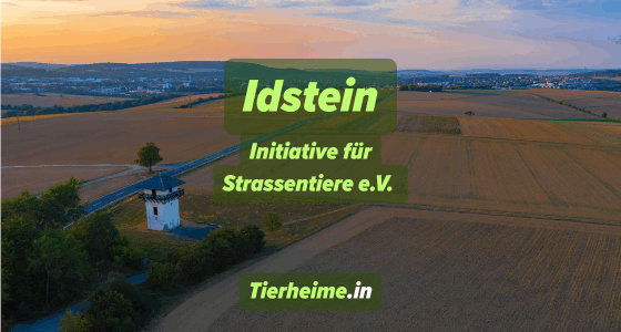 Initiative für Strassentiere e.V.