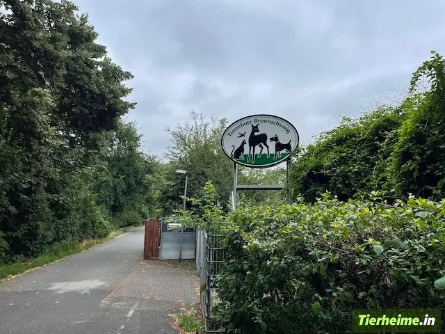Tierheim Braunschweig Foto 2
