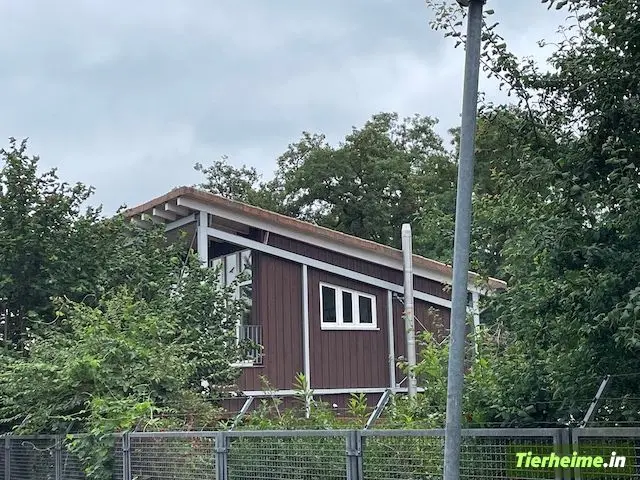 Tierheim Braunschweig Foto 3