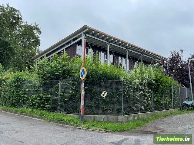 Tierheim Braunschweig Foto 4