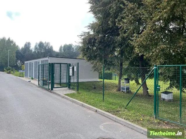 Tierheim Gera Foto 3 Tierheim Gera Foto 3