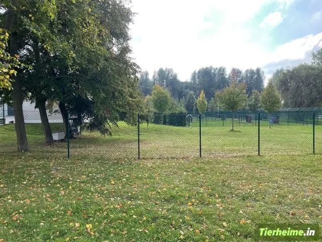 Tierheim Gera Foto 4 Tierheim Gera Foto 4