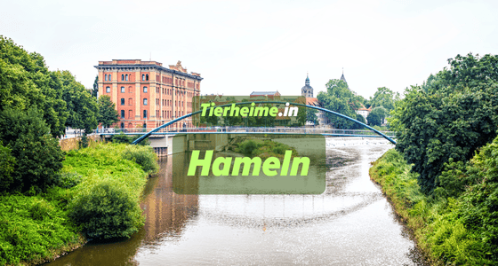 Tierheim Hameln