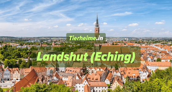 Tierheim Landshut – Standort Eching