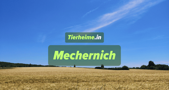 Tierheim Mechernich