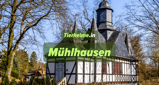 Tierheim Mühlhausen