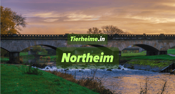Tierheim Northeim