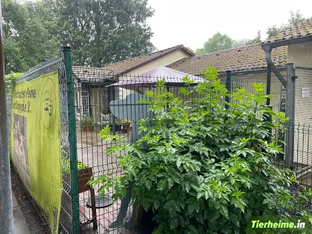Tierheim Peine Foto 3 Tierheim Peine Foto 3