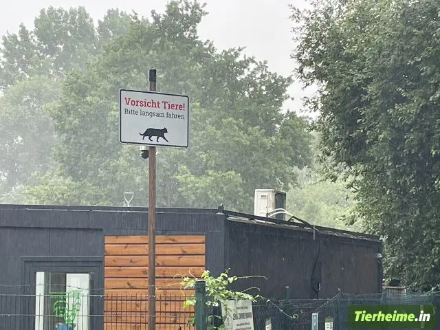 Tierheim Peine Foto 4 Tierheim Peine Foto 4